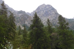 SAM_0863
