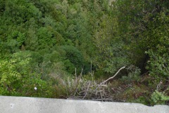 SAM_0871