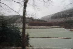 SAM_1130