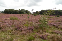 SAM_0384