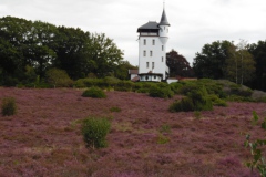 SAM_0385