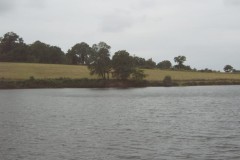 IMG00013