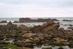 IMG00014