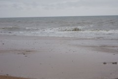 IMG00019