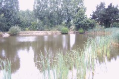 IMG00025