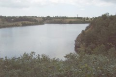 IMG00034