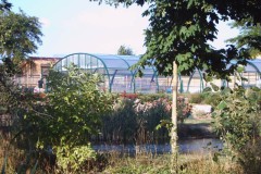 IMG00039