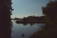 IMG00041