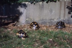 IMG00047