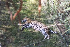 IMG00049