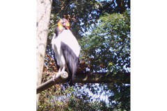 IMG00053