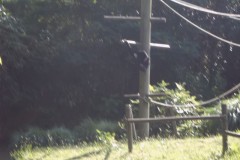 IMG00055