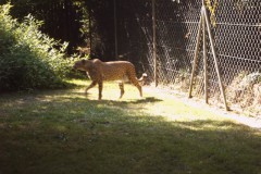 IMG00057
