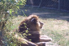 IMG00060