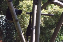 IMG00062