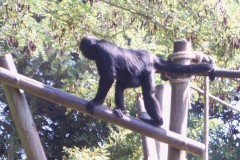 IMG00063