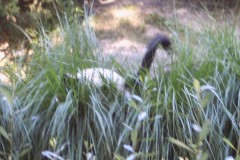 IMG00069