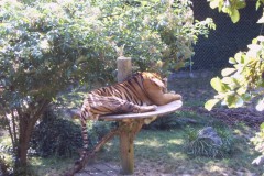 IMG00071