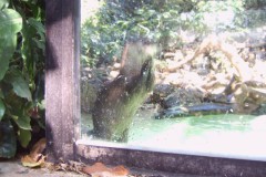 IMG00074