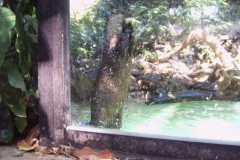 IMG00075