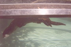 IMG00076