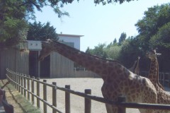 IMG00078