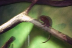 IMG00084