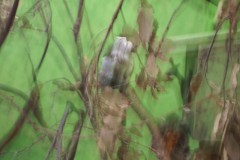 IMG00094