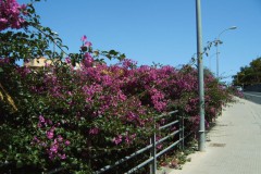 IMG00057