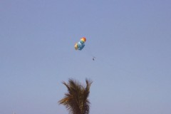 IMG00081