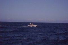 IMG00092