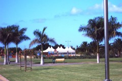 IMG00097