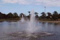 IMG00102