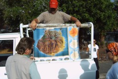 IMG00107