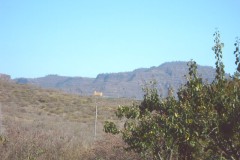 IMG00122