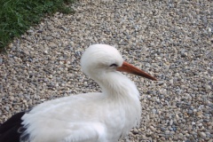 169