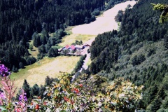 200
