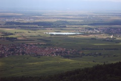 37