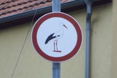 50_a