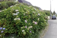 vakantie_2010_25