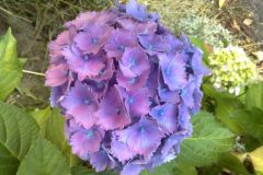 vakantie_2010_27