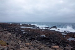 Afbeelding_079