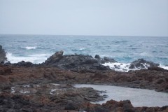 Afbeelding_080