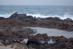 Afbeelding_081