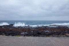 Afbeelding_082