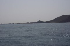 Afbeelding_118