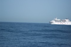 Afbeelding_120