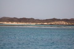 Afbeelding_142