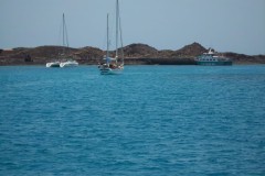 Afbeelding_143