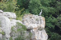 SAM_0146